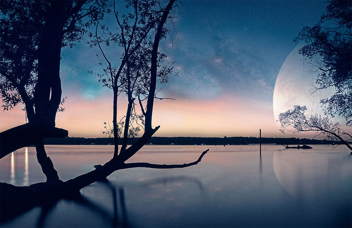 Tranquil Moonlit Lake Scenery Mural Wallpaper