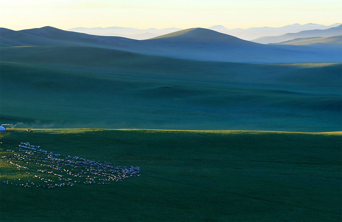 Serenity Green Landscape Scenic Mural Wallpaper