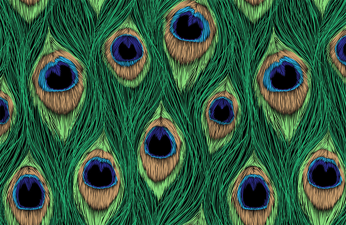 Vibrant Peacock Feather Pattern Wallpaper Mural