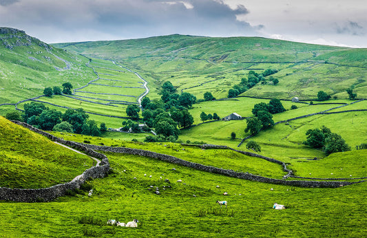 Lush Green Rolling Hills Mural Wallpaper