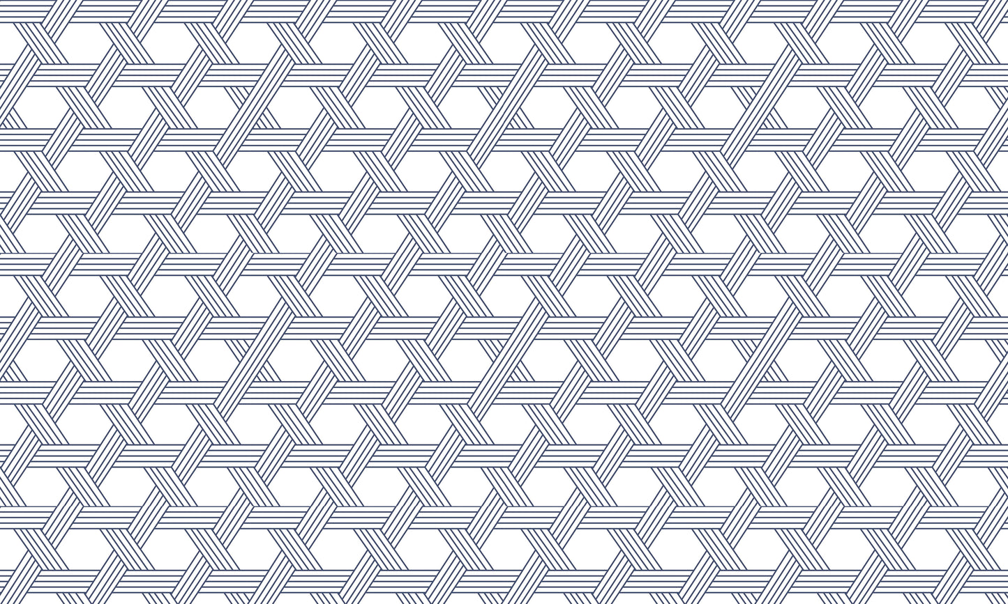 Interwoven Hexagonal Illusion Mural Wallpaper