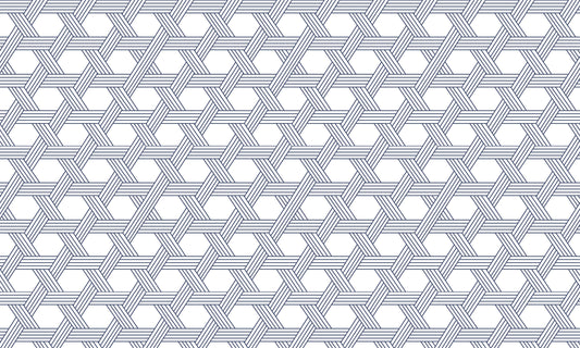 Interwoven Hexagonal Illusion Mural Wallpaper