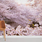 Blossoming Pink Cherry Trees Mural Wallpaper