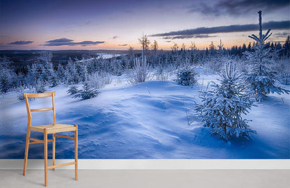 snow scenery in dark blue colour wallpaper for rome