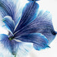 Papier Peint Panoramique Bleu Morning Glory