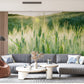 sunhsine morning wheat dew mural art for home