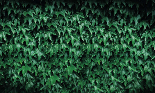 Luxury Gold Geometric Herringbone Mural Wallpaper