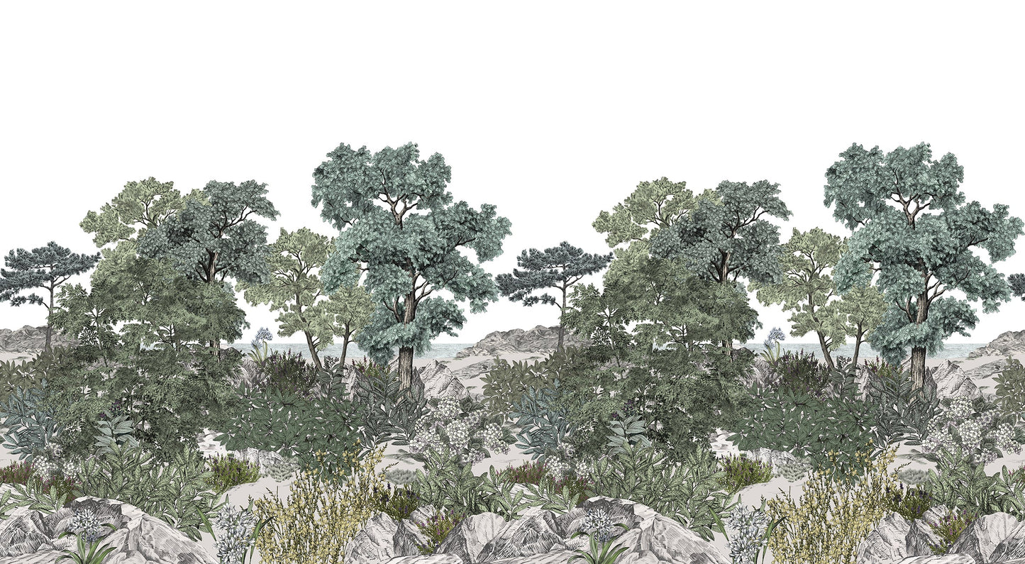 Serene Nature Forest Scene Mural Wallpaper
