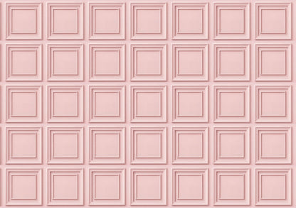 Blush Pink Classic Panel Wallpaper