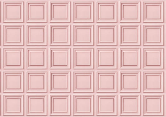 Blush Pink Classic Panel Wallpaper