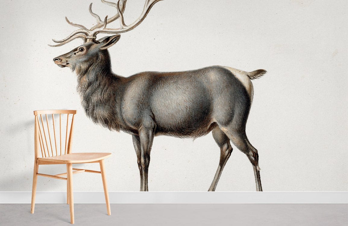 Vintage Illustrated Majestic Deer Mural Wallpaper | Ever Wallpaper ...