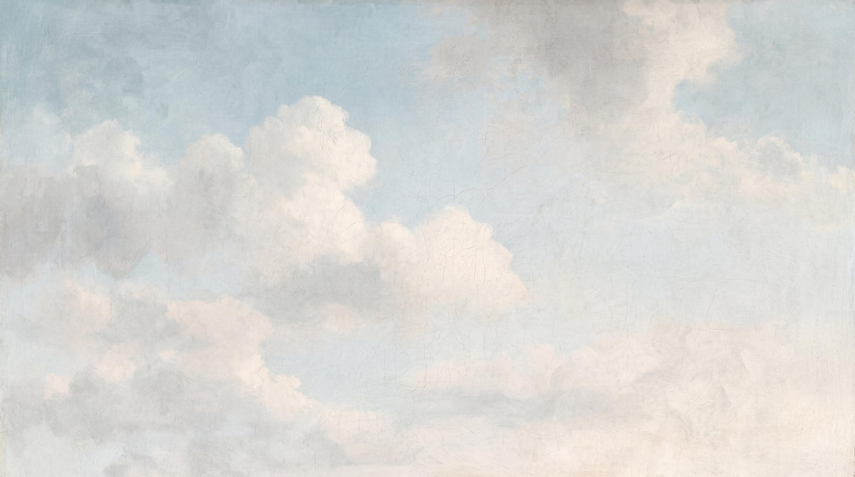 L10131 image 5