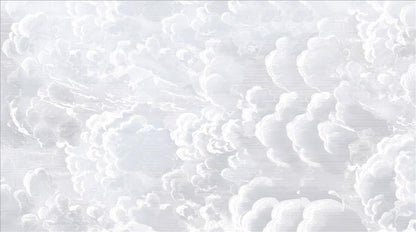L10135 image 2