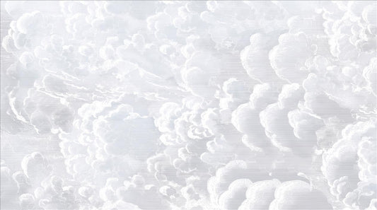 L10135 image 2