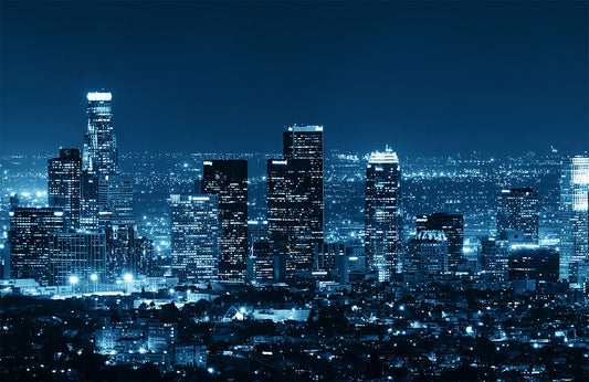 Modern Urban Skyline Midnight Blue Mural Wallpaper