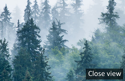 Misty Forest Scenic Landscape Mural Wallpaper