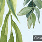 Sunflower Eucalyptus Botanical Mural Wallpaper