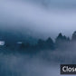 Papier Peint Panoramique de Nuages ​​Coulant vers la Forêt