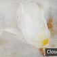 Papier Peint Panoramique Fleurs Peinture Vague