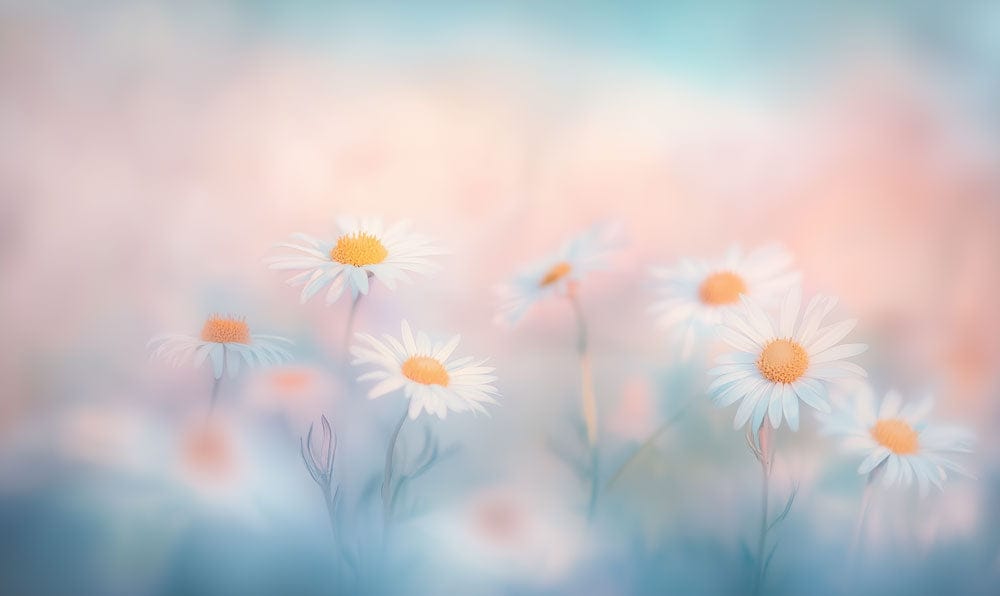 Pastel Daisy Dream Mural Wallpaper