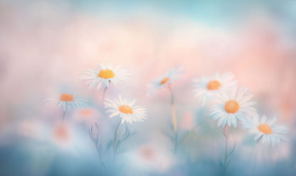 Pastel Daisy Dream Mural Wallpaper