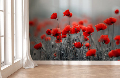 Scarlet Poppy Whisper Field Mural Wallpaper