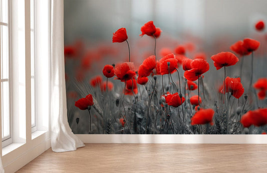 Scarlet Poppy Whisper Field Mural Wallpaper