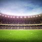 Stadium Football Field Green Mural Wallpaper