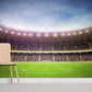 Stadium Football Field Green Mural Wallpaper