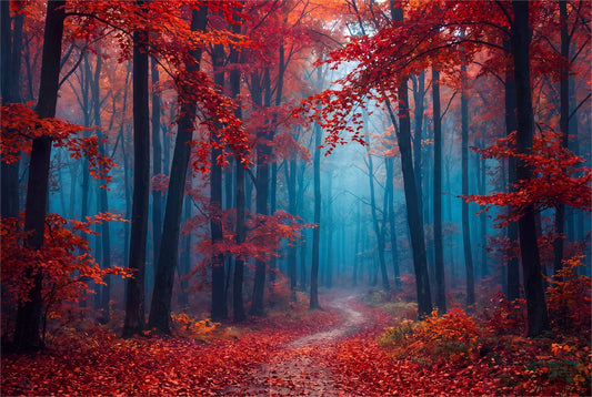 Golden Birch Autumn Forest Wallpaper Mural - image 2