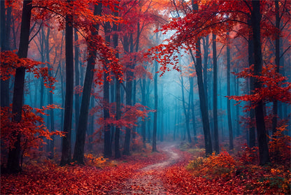Golden Birch Autumn Forest Wallpaper Mural - image 2