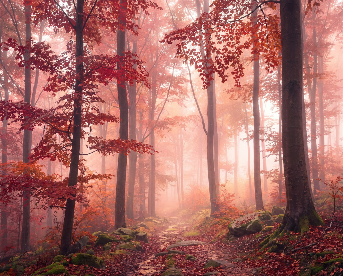 Orange Autumn Woodland Wallpaper Mural - image 2