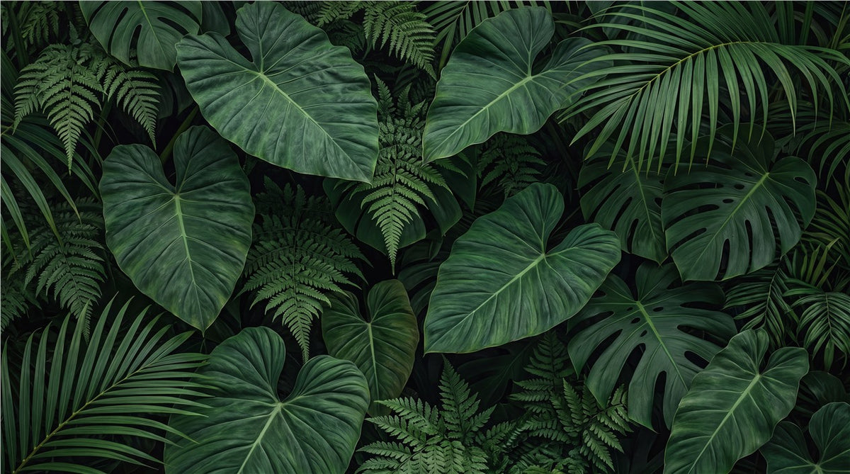 Forest Jungle Jungle Wallpaper Mural