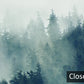 Misty Forest Natural Scenery Wall Mural