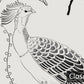 Tropical Bird Monochrome Botanical Mural Wallpaper