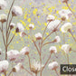 Neutral Floral Fields Mural Wallpaper