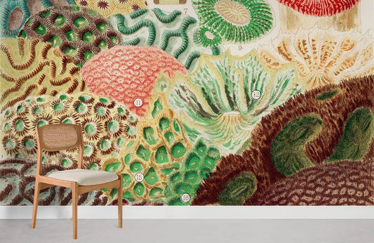 Vintage Botanical Coral Mural Wallpaper