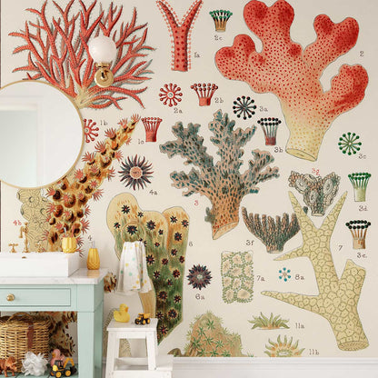 Colorful Coral World Wallpaper Mural Design Idea