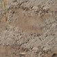 Rustic Concrete Textured Wallpaper Mural