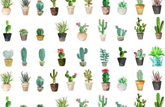 Charming Botanical Cactus Mural Wallpaper