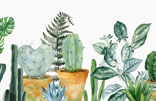 Papier Peint Panoramique Plantes Cactus Aquarelle