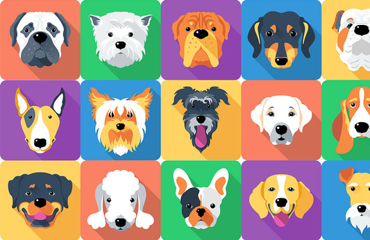 Colorful Canine Portraits Mural Wallpaper