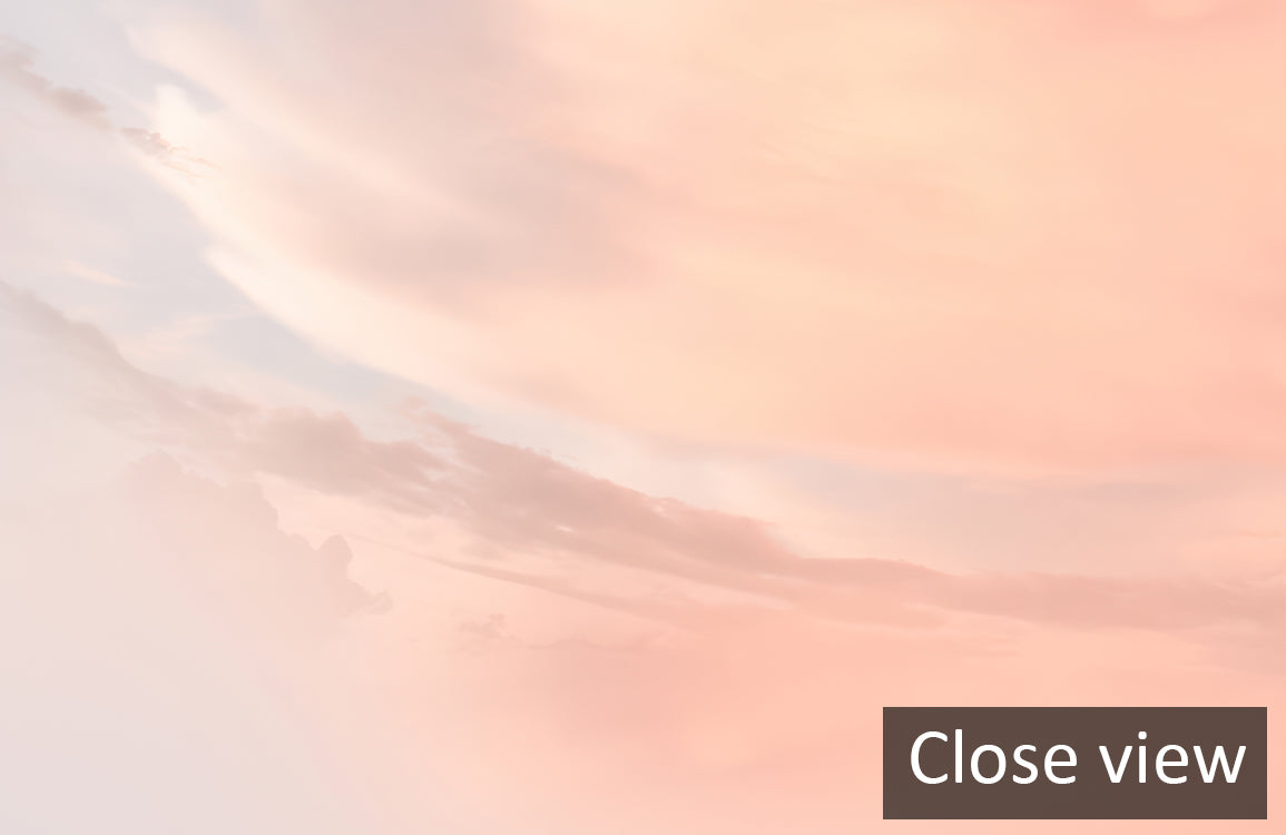Blush Twilight Sky Mural Wallpaper