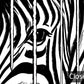 Zebra Stripes Mural Wallpaper