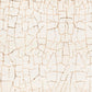 Beige Crackled Abstract Mural Wallpaper