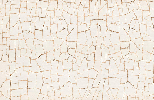 Beige Crackled Abstract Mural Wallpaper