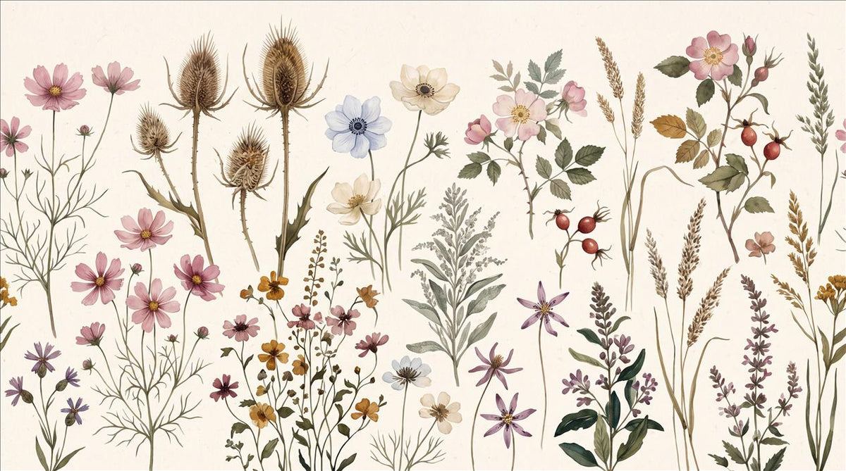 Natural Antique Wildflower Specimens Wallpaper Mural - image 2