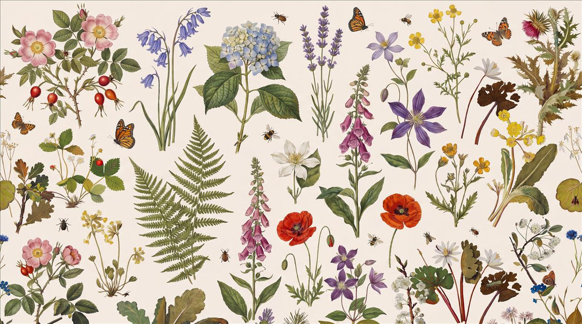 Fresh Pressed Meadow Flowers Wallpaper Mural