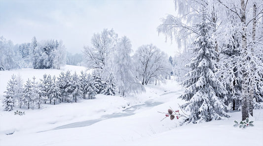 Icy White Winter Forest Wallpaper Mural complete artwork