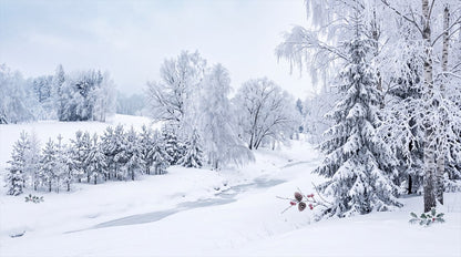 Icy White Winter Forest Wallpaper Mural complete artwork